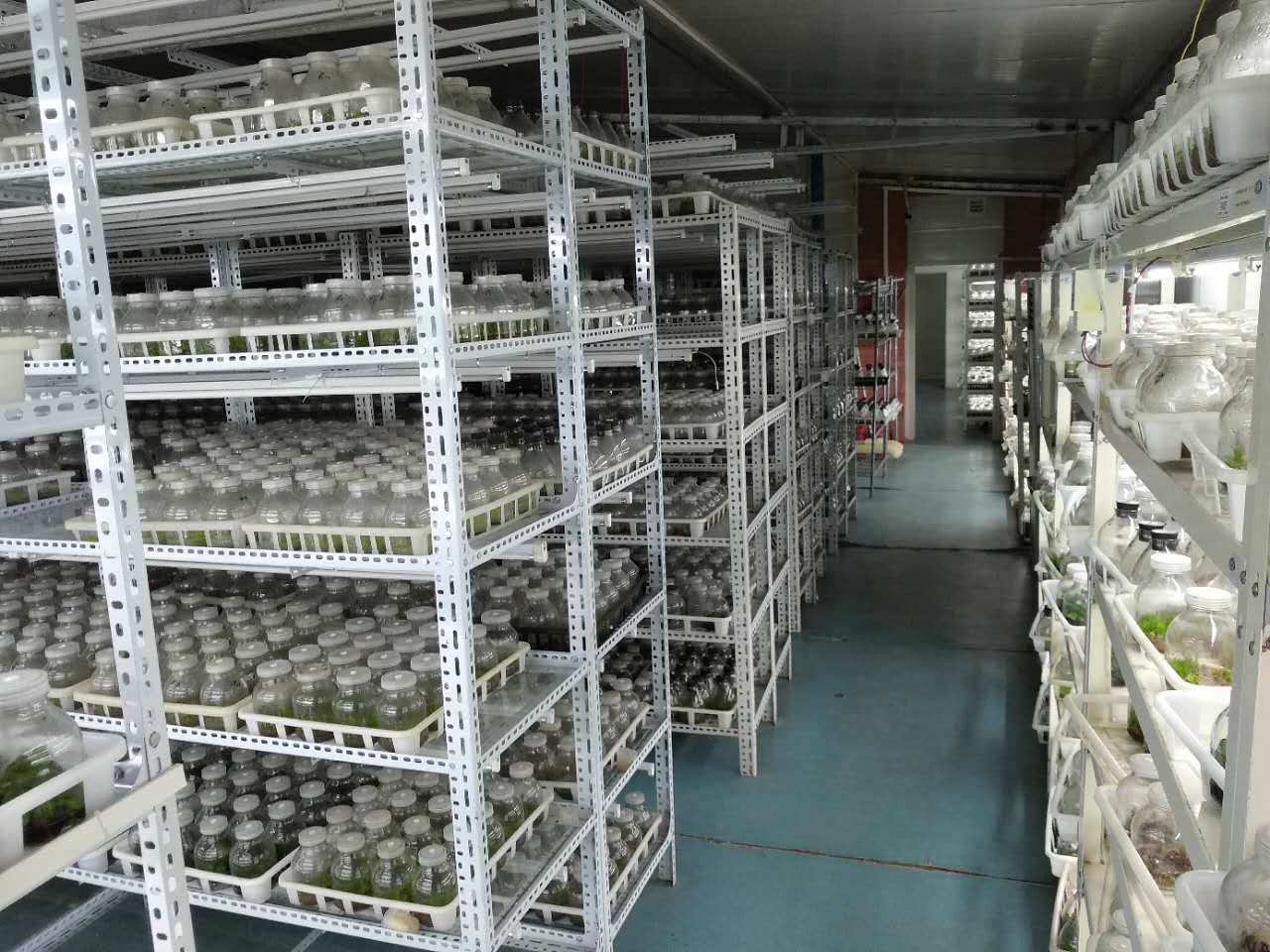 微信图片_20210929153841