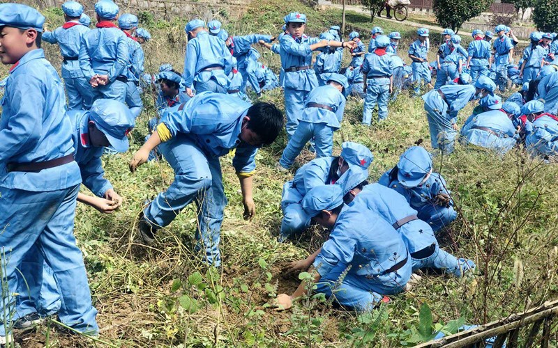 6、学生体验农田劳作