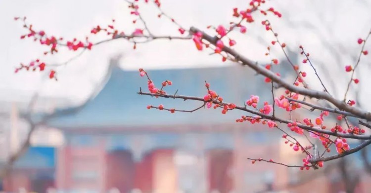 gkcx_1652183269_2011_thumb.jpg gkcx_1652183269_2011.jpg