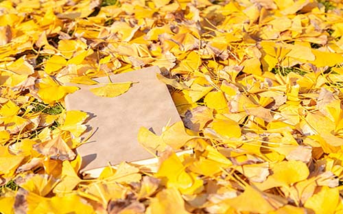 自考网上怎么报名? 自考网上怎么报名?