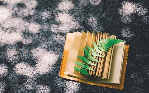 江苏成人高考本科学费一年多少钱? 江苏成人高考本科学费一年多少钱?