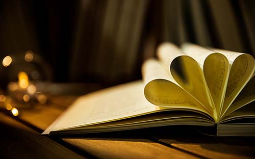 青岛成人高考较热门的专业？