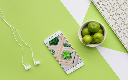 成人高考文凭能考公务员? 成人高考文凭能考公务员?