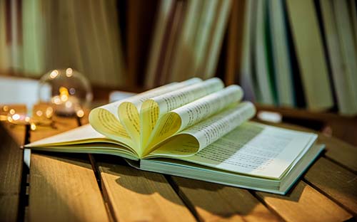 自考报考专业已经停考了怎么办? 自考报考专业已经停考了怎么办?