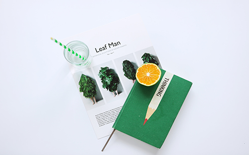 2019年广东成人高考成绩什么时候公布? 2019年广东成人高考成绩什么时候公布?