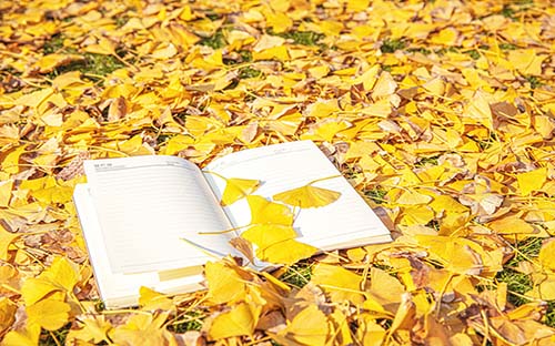 广西成人高考大专考试难度大吗？