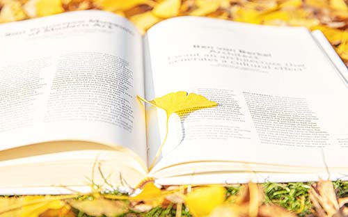 成人高考报名要自己报吗？