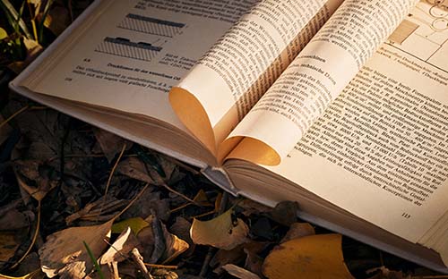 成人高考工商管理专业好就业吗? 成人高考工商管理专业好就业吗?