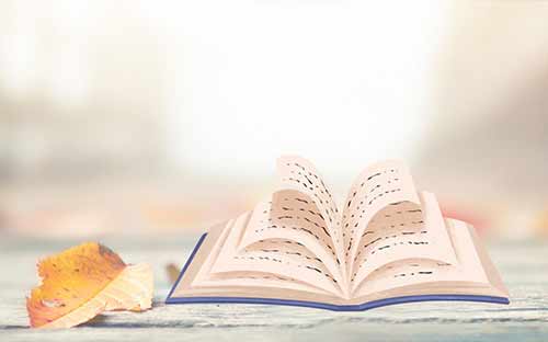 山西省成人高考成绩怎么查？