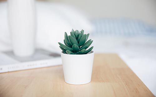 成人高考的学籍怎么查询? 成人高考的学籍怎么查询?