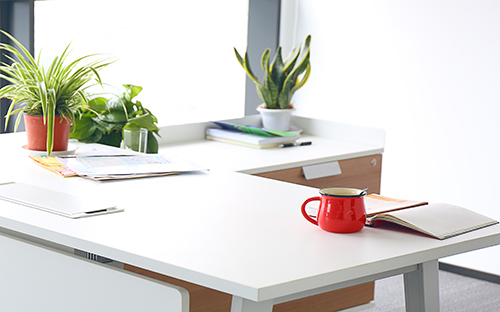 成人高考可以报考监狱编制吗？