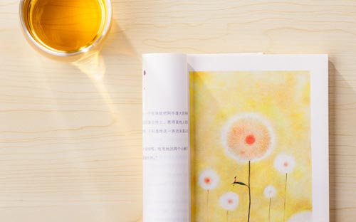 成人高考专升本计算机占多少分？