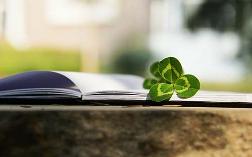 河南省成人高考准考证如何打印？