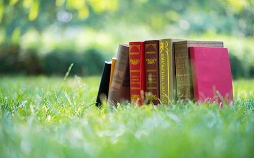 自考课程分类？