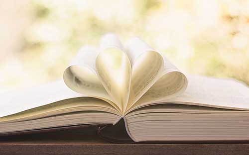 成人高考成绩查询查不了怎么办？