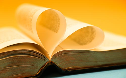 成人高考官网成绩查询流程？