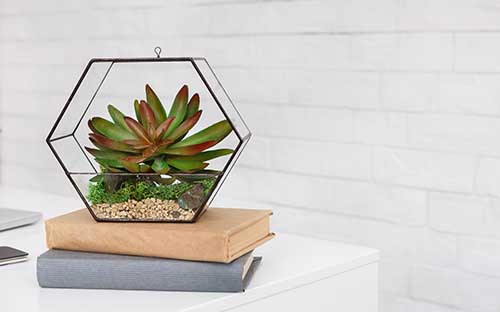 内蒙古成人高考报名是什么时候? 内蒙古成人高考报名是什么时候?