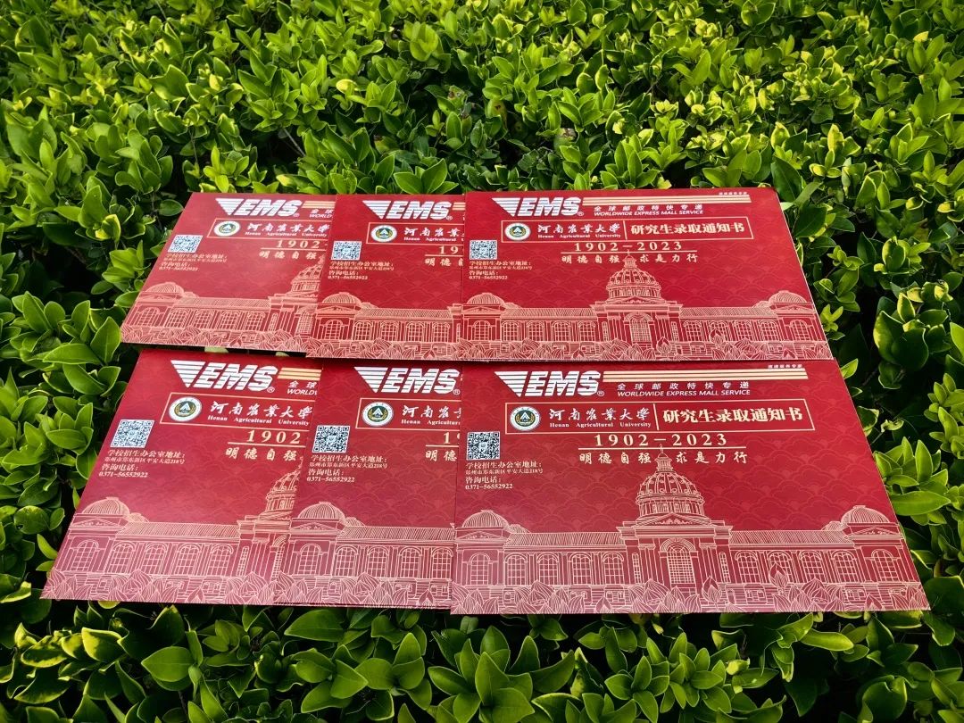 研究生录取通知书发出了!查询,戳这里→5