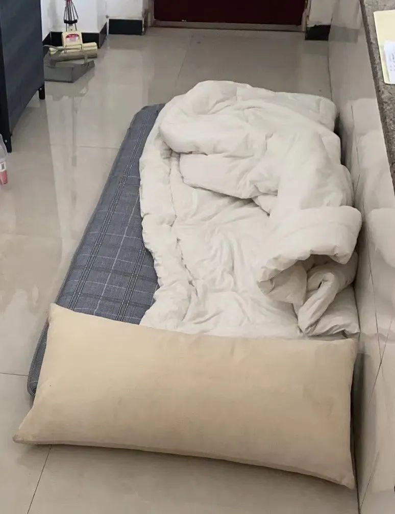 郑州信息工程职业学院23