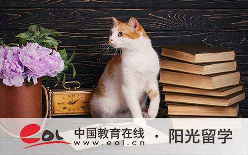 中外合作办学留学金融专业学费是多少 中外合作办学留学金融专业学费是多少