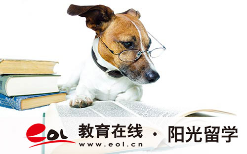 马里兰大学艺术学院专业有哪些